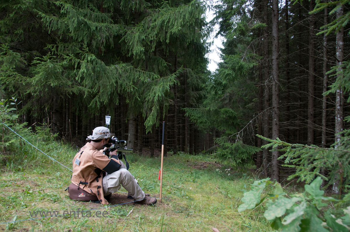 Sergio Rita PT, Steyr LG 100 Field Target, Nikko Stirling Diamond 10-50x60